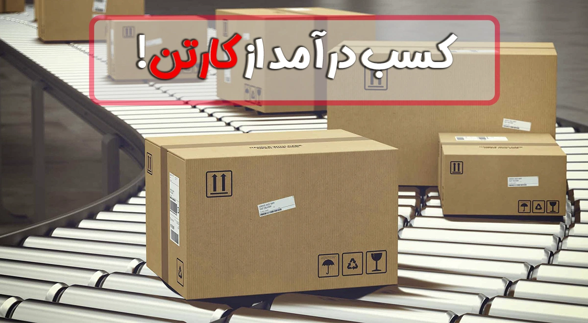 کسب درآمد از کارتن!​